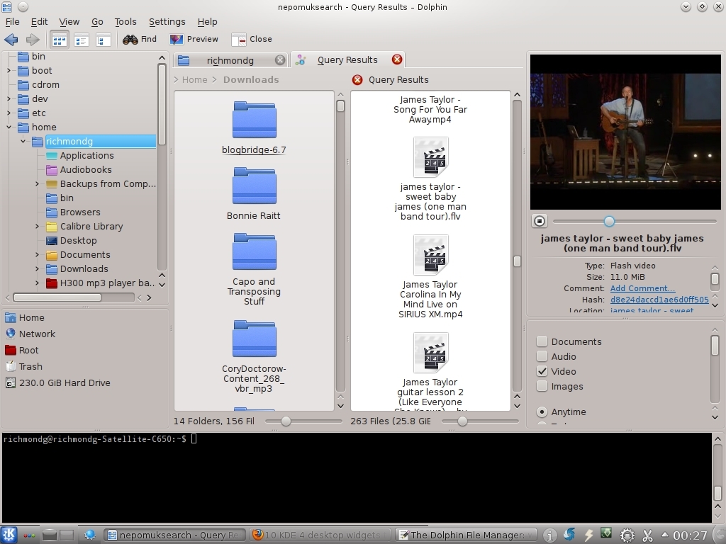 Figure 1: A very busy Dolphin courtesy of keyboard shortcuts