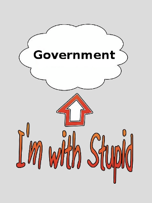 My government is software-stupid