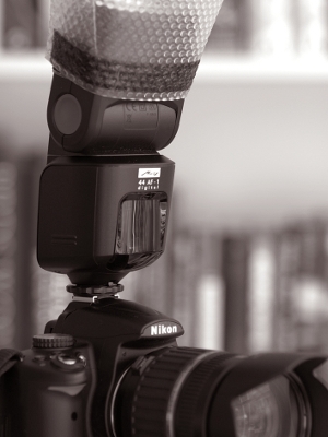 RAW Processing in a Rush with GTKRawGallery