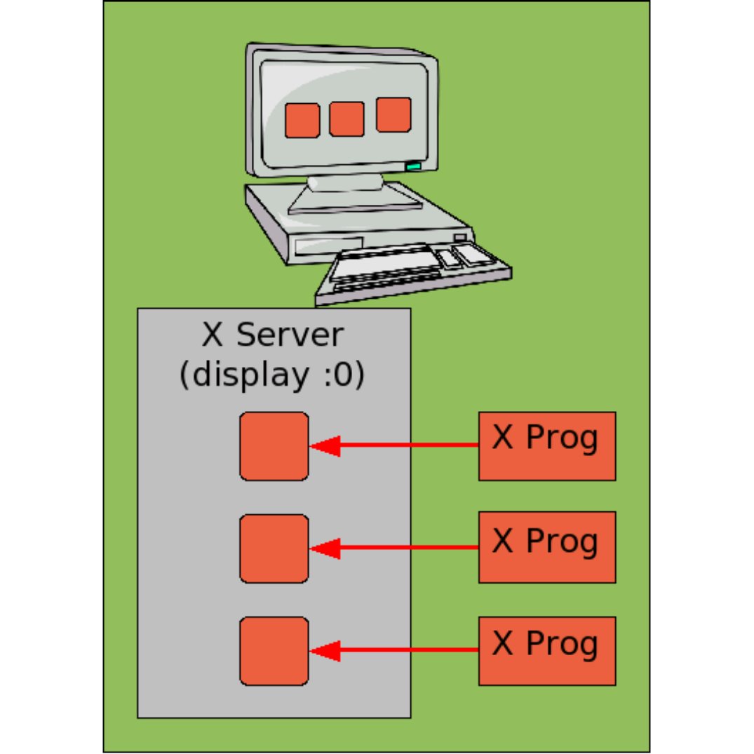 A schematic diagram of some X programs connecting to an X-server