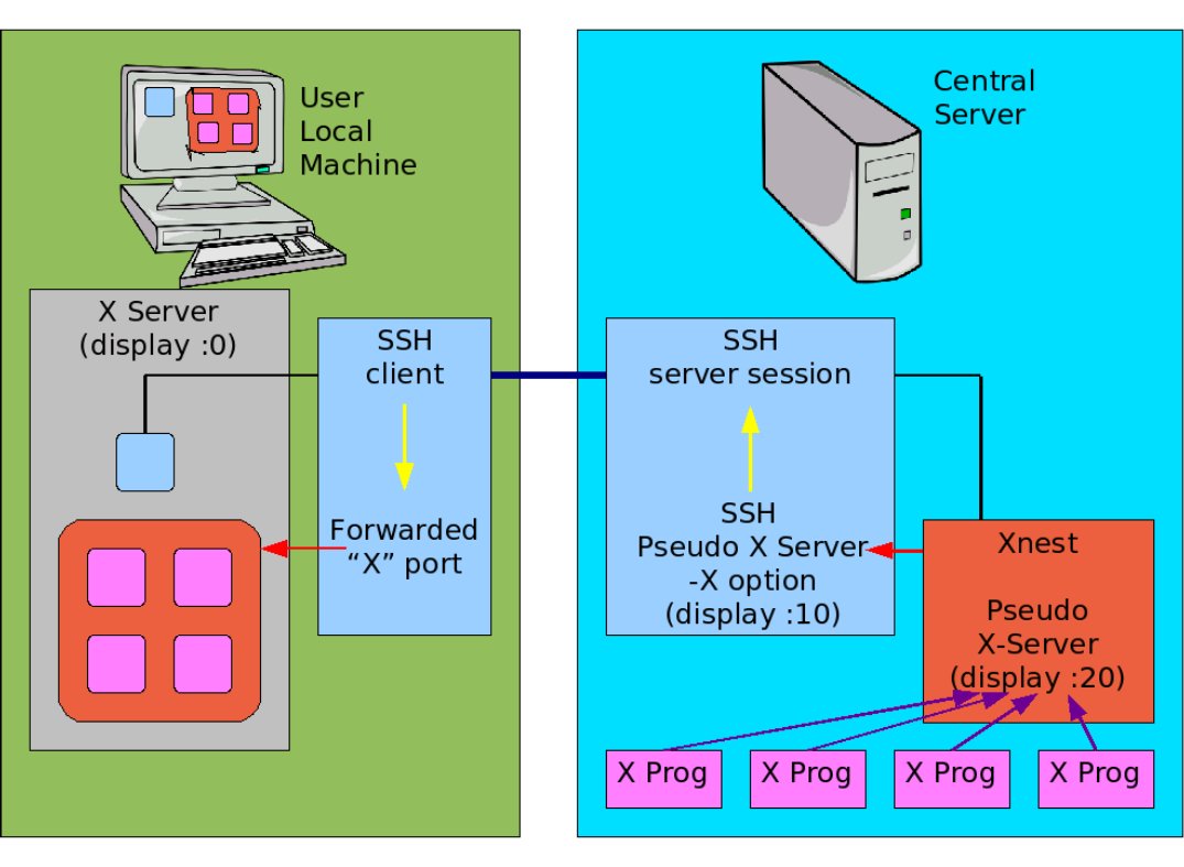 A schematic diagram of an X desktop running through the network using SSH X forwarding and Xnest