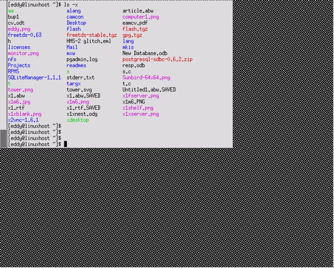 An X-server with an xterm X-client connected to it